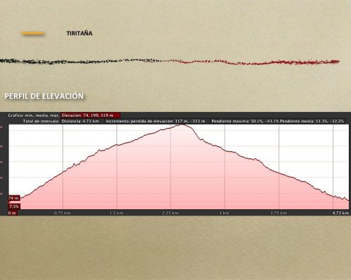 8e9a93_d0b75e7cbcce4837b8d28ff25826e038~mv2